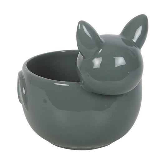 Cute Bat Bowl